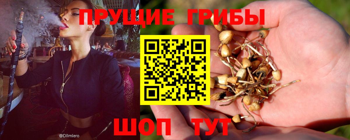 Псилоцибиновые грибы ЛСД  закладка  Азнакаево  Галлюциногенные грибы Psilocybe  Вход с VPN 